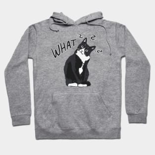 Confused Cat Hoodie